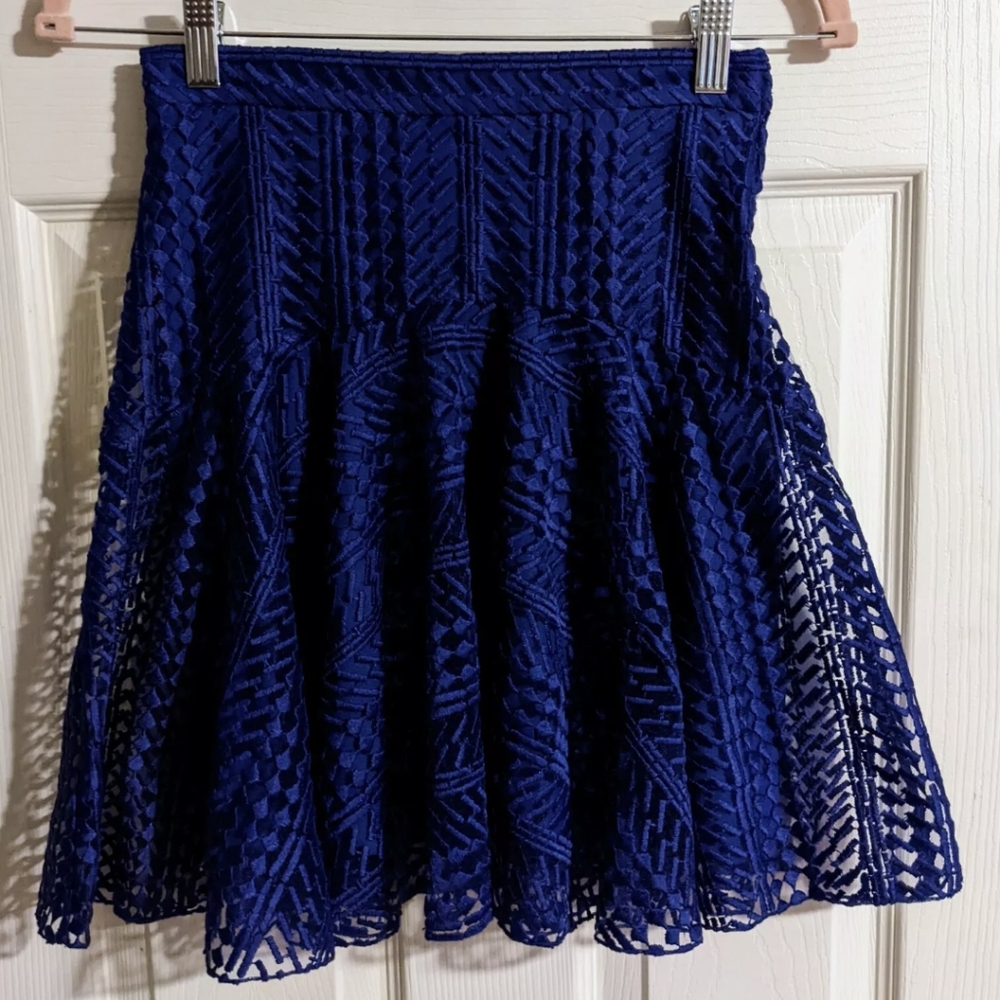 H&M Blue A-Line Skirt US 2/4 Lace High Waist Skater Embroidered Elegant Unique